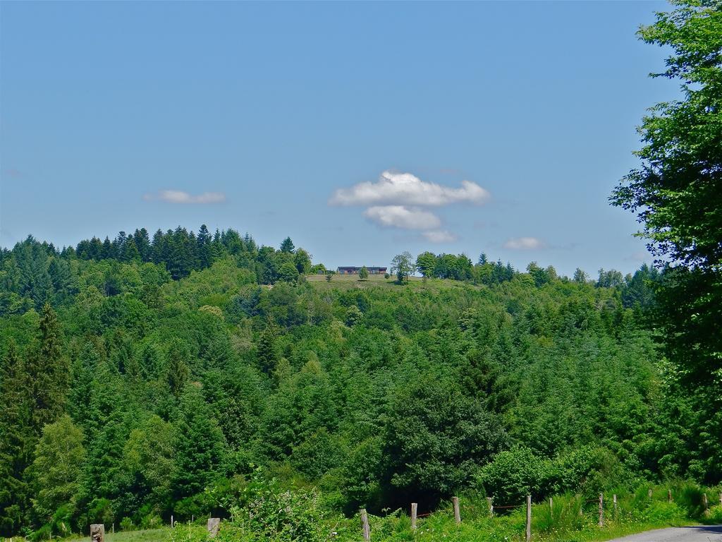 La Canopee 19 Lamaziere-Basse Zewnętrze zdjęcie
