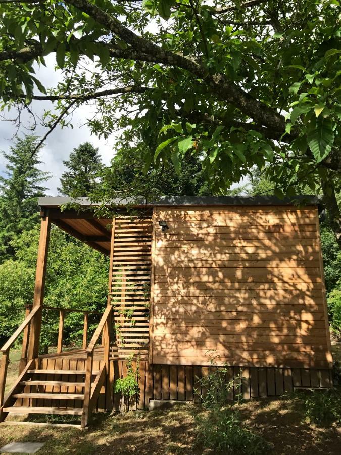 La Canopee 19 Lamaziere-Basse Zewnętrze zdjęcie
